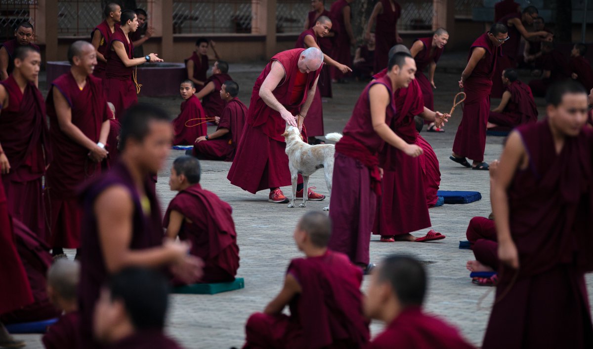theburrownft's tweet photo. Some more 1/1 art from our collection, Pause 🧵

Moment of Compassion by @harimenonz 

These Tibetan monks in Coorg spend most of their day in prayers and meditation, but even they have those moments in between their daily routines when they take a break. https://t.co/eWkmGN417S