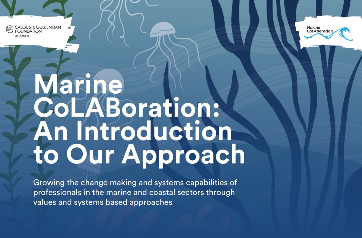 ZSLconservation's tweet photo. Want to grow your capacity to drive change?
 
@Marine_CoLAB’s guide to apply values &amp; systems based approaches can help! @OfficialZSL is a member of this collaboration &amp; has been working on this concept for 6 years 

Read more here: https://t.co/ol8A0SK6rQ https://t.co/DP0fiyvW7l