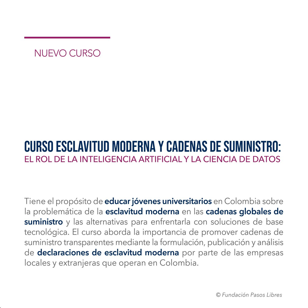 Fundación Pasos Libres tweet media