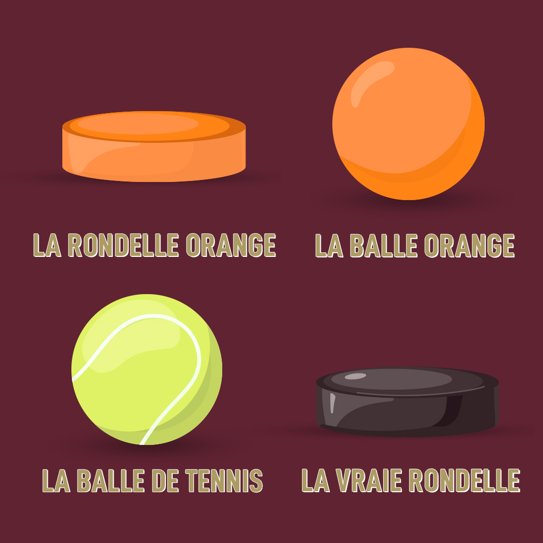 Est-ce que quelqu’un va prendre la vraie rondelle?

Is anyone taking the real puck?