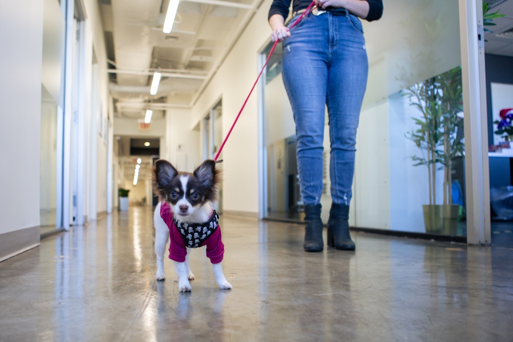 Society of Work tweet media