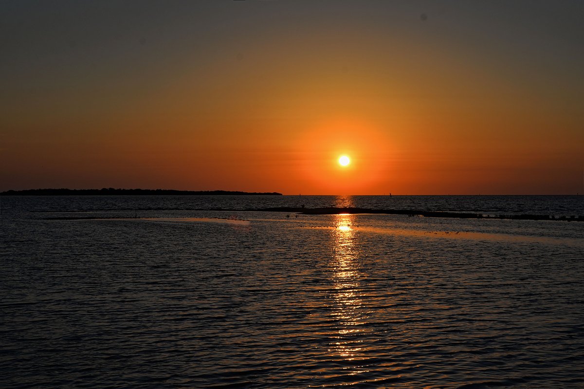tidewatertours's tweet photo. We’re here for a good time! 🌞
If you’re in #cedarkey with no set in stone plans, come join us! 🚤 Our sunset tour still has room available call now to book! 
.
☎️ (352) 543-9523 or 🔗 https://t.co/hRT27TZRHo
.
🌊#TidewaterTours #cedarkeyflorida⚓ https://t.co/TsGOsKKcA0