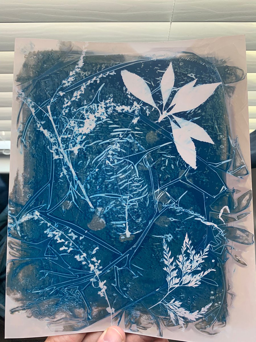 The Thick of Summer 

#1of1 -1st #Chemilumen I've ever minted 
<a href="/tezos/">Tezos</a>
 in the Cyanotez Collection on 
<a href="/objktcom/">objkt</a>
 
☀️1/1 NFT
☀️25 $XTZ
☀️Chemilumen (Cyanotype/photo paper)

#tezos #CleanNFT #nftphotography

objkt.com/asset/KT1LuhM2…

(a few shots of the original below, as well)