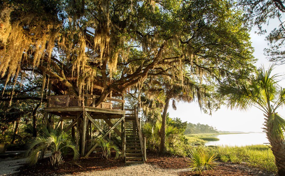 Relive childhood thrills at one of Palmetto Bluff’s hand-crafted treehouses. 🌳🏠 Built around the bases of century-old live oaks, each structure was designed for Palmetto Bluff by father-son duo Wayne and Heath Edwards. Read more in the Bluff article at the link in profil
