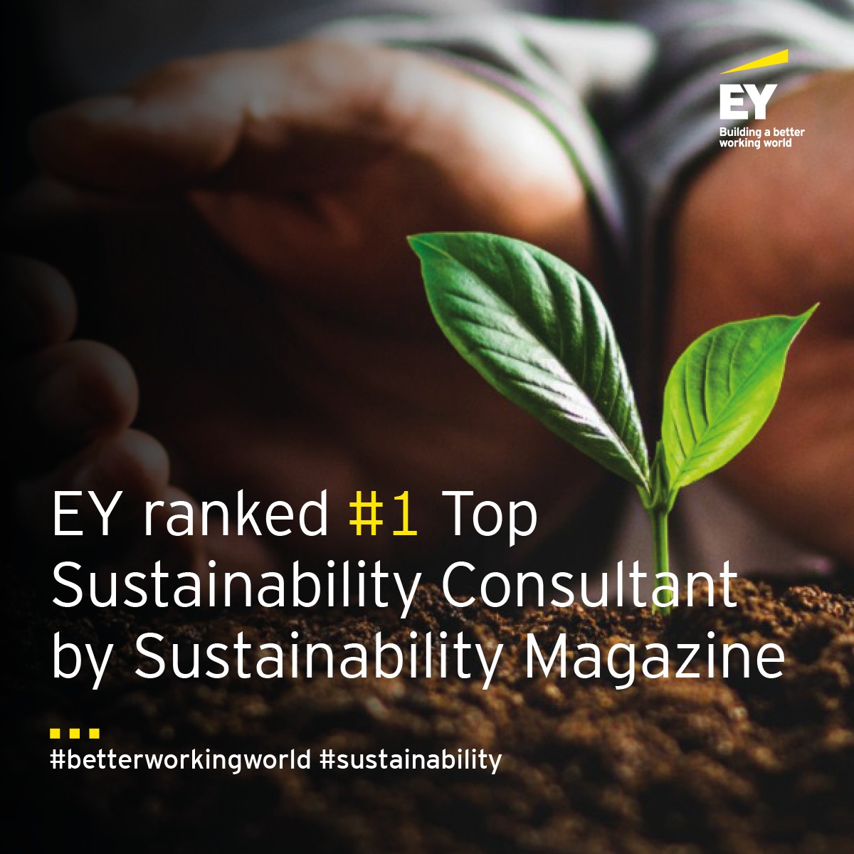 Christopher Hendriks tweet media