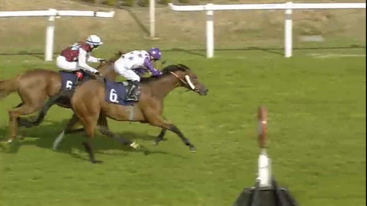 wild_julian's tweet photo. Don’t you just love it when a 125/1, 80 race 7-y-o outsider of 6 builds up a big lead in a mile race &amp; somehow manages to hang on for a win? Found more at the finish for Collen Storey. Well done Christine Dunnett (77 days since last win)🙂🏇👏 https://t.co/KImh3aGYvI