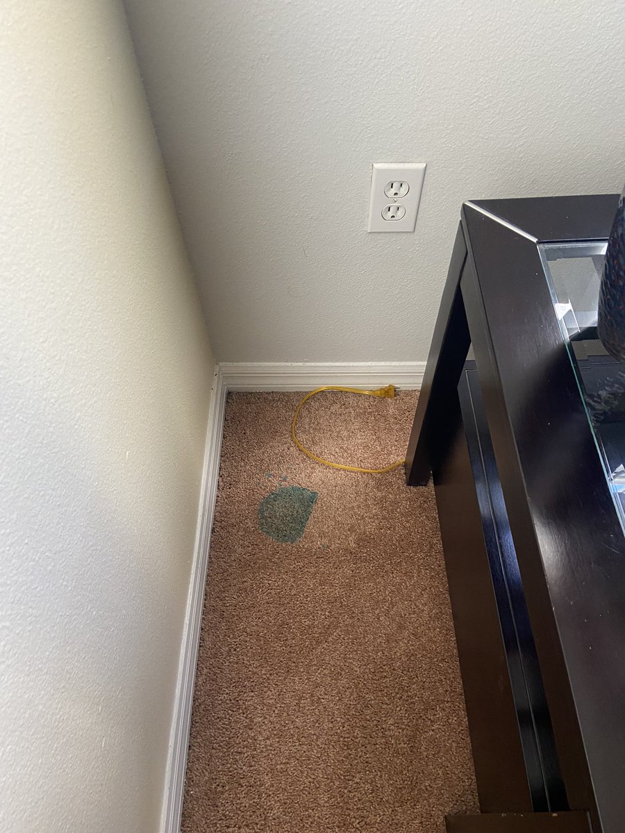 malcolmlatimer's tweet photo. @GetBinky @VisitOrlando @Zaks_adventures Your Villa looks really nice and clean.  Look at ours, we arrived yesterday and it’s filthy and dangerous for our kids. First week in hotel was great however. Virgin need to do something we are still waiting. https://t.co/0Bsaxi716z