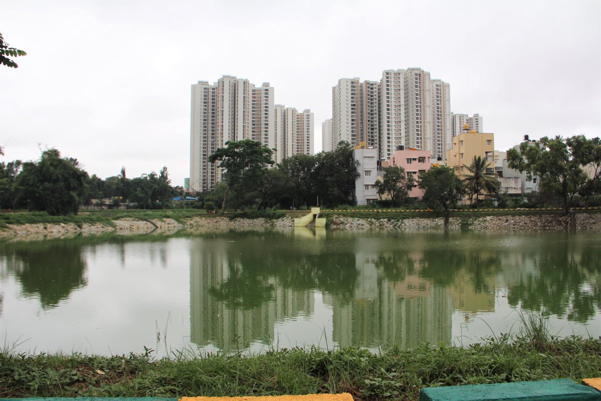 How can the nutrient load from the green pond be reduced? Suspension pond of newly restored #Doddakallasandralake has received sewage+ in the recent rains, while the stone revetment merely prevents solid waste, polluted water is balanced across. @BBMPCOMM should help this issue