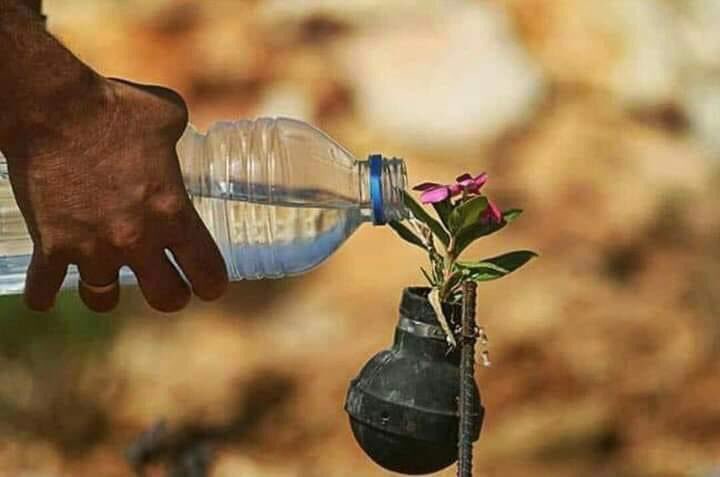 "لا تعطي الناس اكثر من حقها
فالورد يموت احياناً من كثرة الماء...