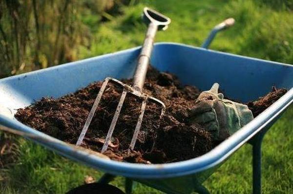 Creativ_Portal's tweet image. Лучшие садовые компостеры для дачи 2022 👍
Выращивание огородных культур истощает землю. Сохранение ее плодородности обеспечивает внесение удоб #Новинки  #длядачи #Садовые #Рейтинг #обзор

creativportal.ru/luchshie-sadov…