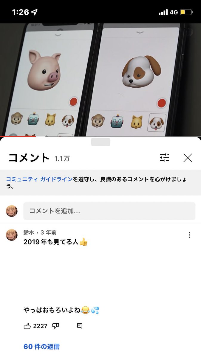 マコクロード🐟🐶 tweet media