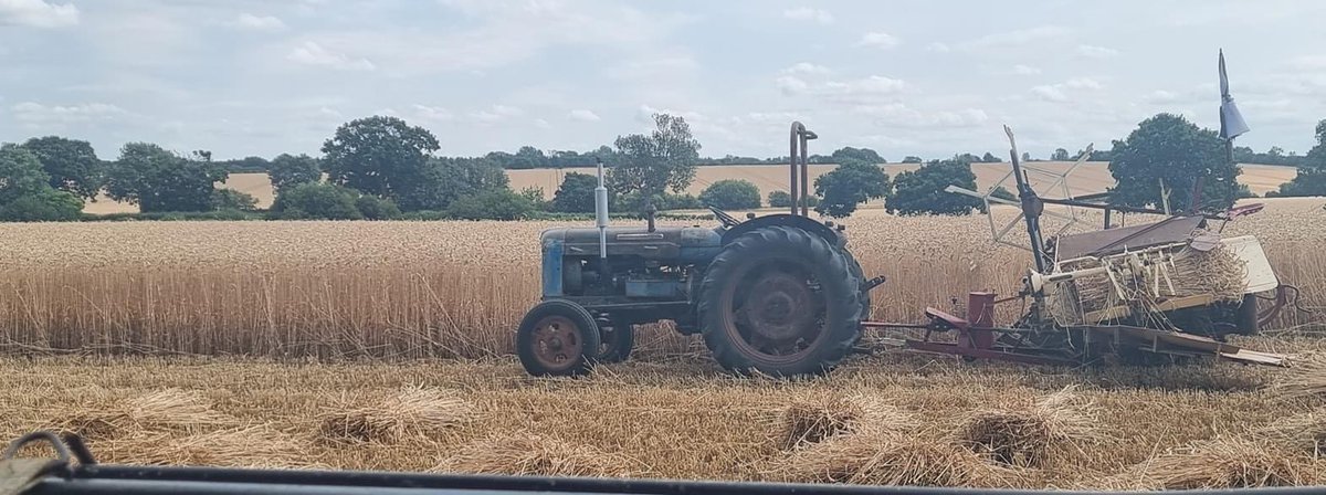 EMMTAthatchers's tweet photo. The #thatchingstraw #harvest is just about complete now, with straw now heading into barns ready for either #threshing for #longstraw or #combing for #combedcerealstraw https://t.co/3tlAVYthaC