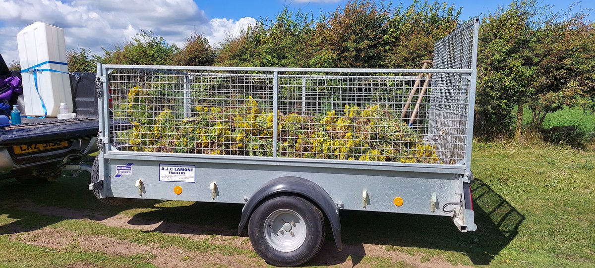 DeborahJHunter's tweet photo. It was a beautiful day for our @AllstateNI volunteering with the @NTMurlough @NationalTrustNI 🏞💚
We had fun clearing #ragwort from grazing pasture. We're glad to clear as much as we could as it is poisonous to livestock 🐄 🐎 🐑 Great difference!

#volunteersmakeadifference https://t.co/JVgdAZNJ4c
