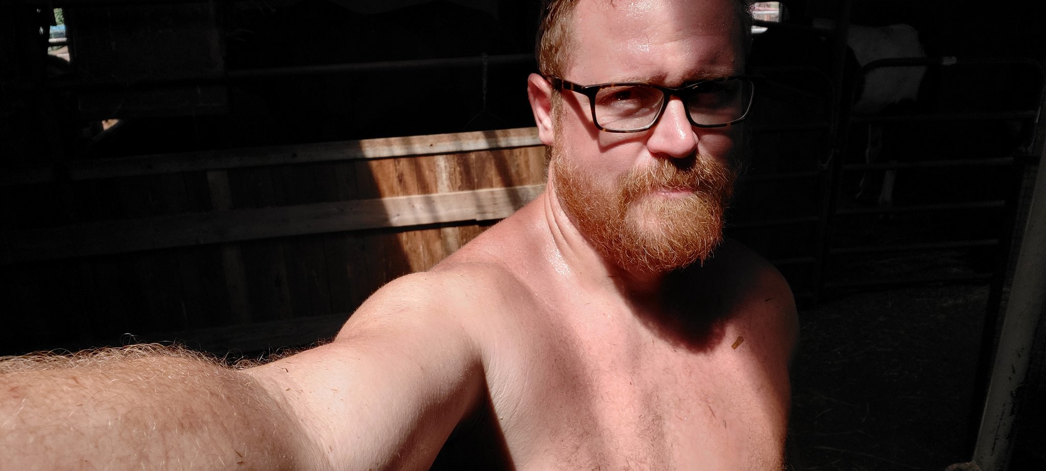 corebear-on-twitter-cleaning-horse-stalls-one-of-the-less-fun-parts