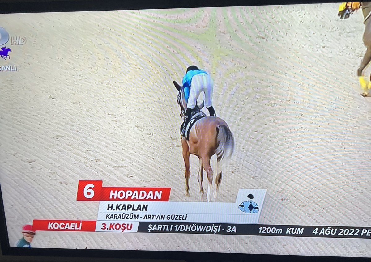 tipstergggg's tweet photo. Bir yıldir bu güzel kızı bekliyorduk… #Hopadan ( Karaüzüm - Artvin Güzeli ) Gözümüz aydın kardeşim @KuterCem 🧿🧿🙏🙏 Eline sağlık @sametavci1972 https://t.co/nYxszXPzFw