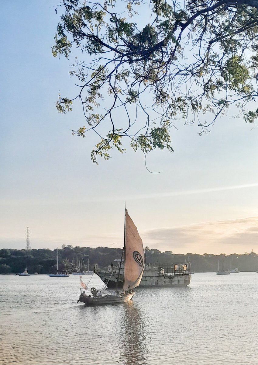 kilifi Dhows safaris🇧🇻 tweet media