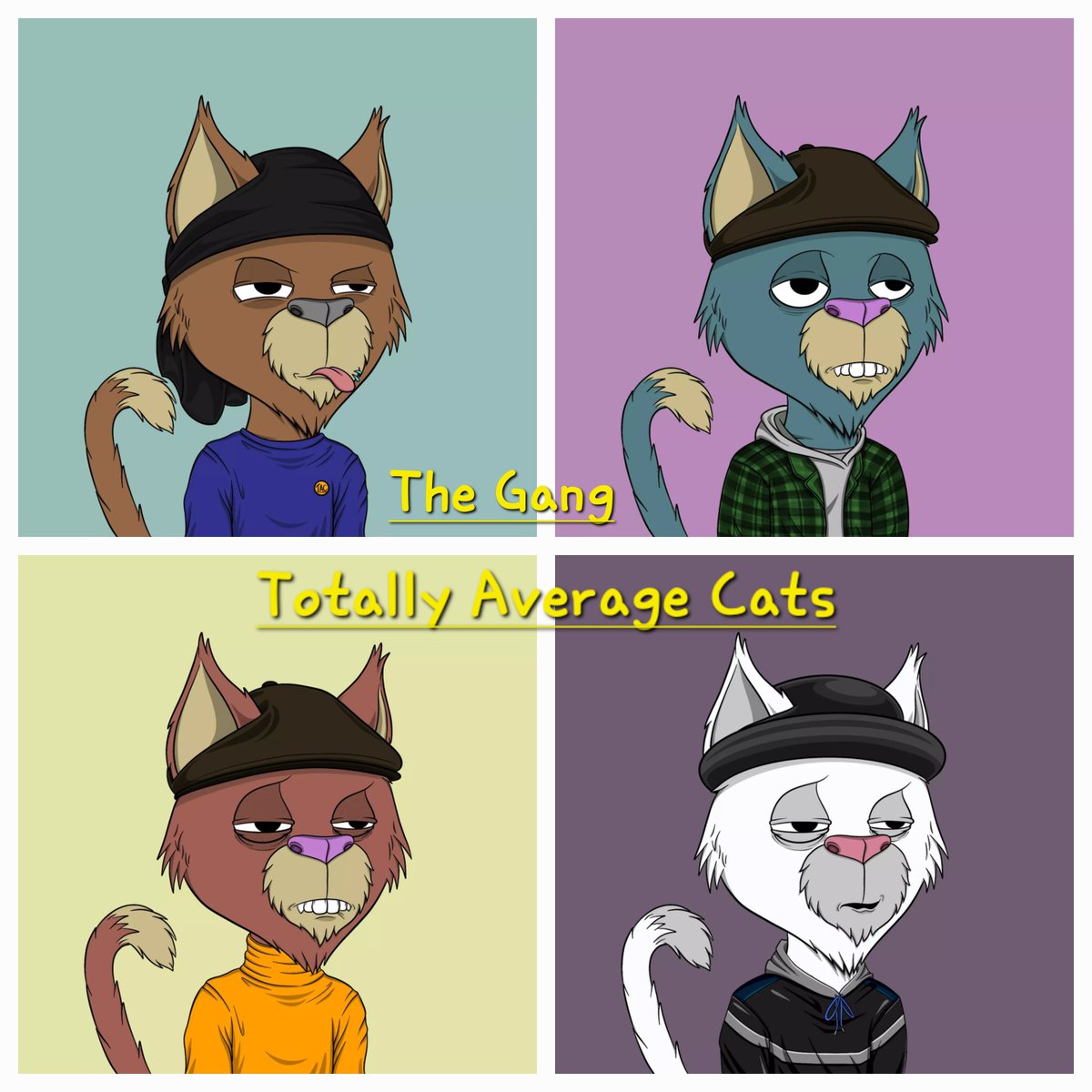 Meet The Gang 😎
<a href="/TotallyAVRGCats/">TAC</a> 😼
-
#Algo #Algofam #AlgoNFTs