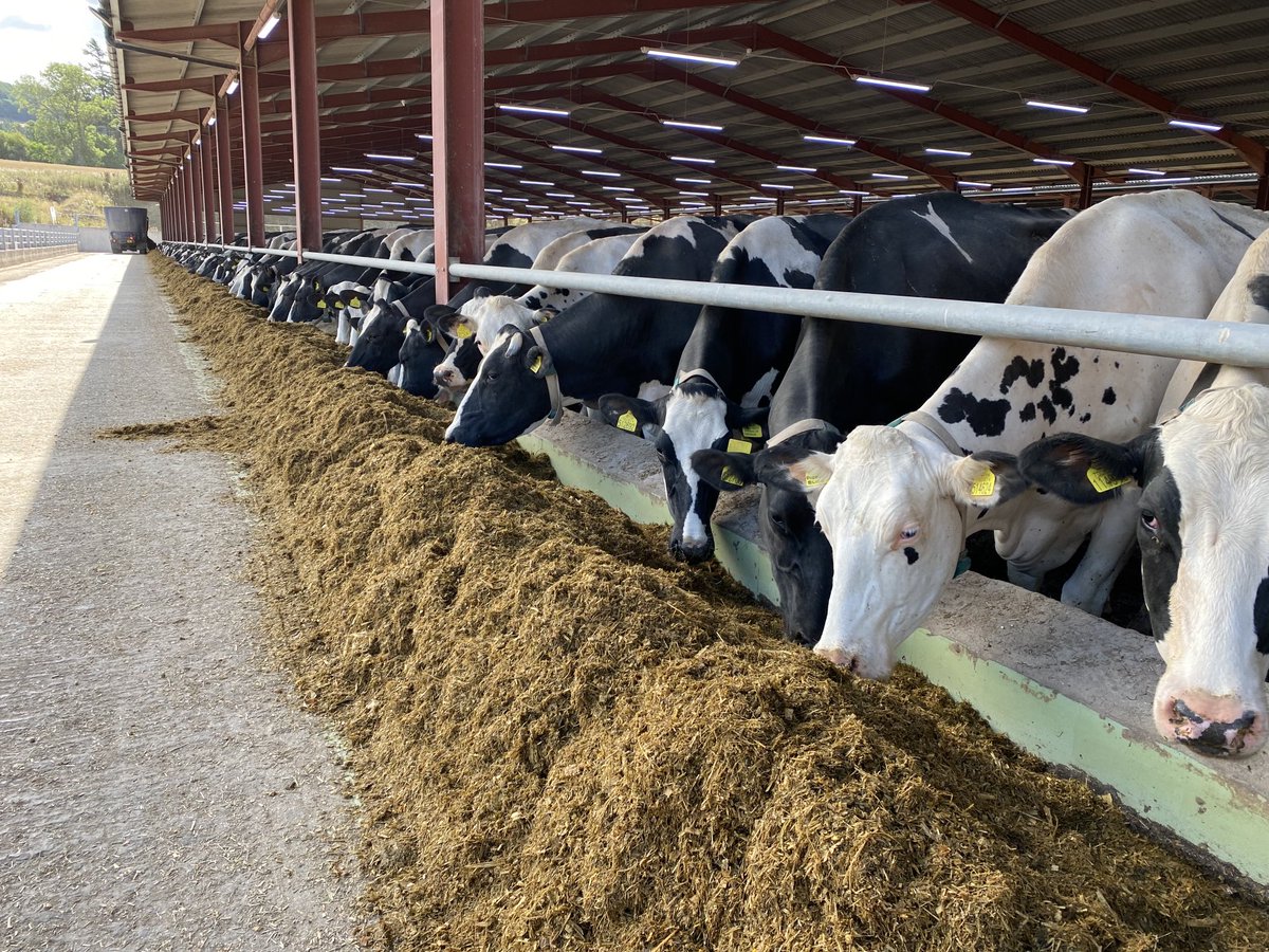 Love living &amp; working in this amazing industry. To every farmer producing the food for our table, working all hours in challenging times. Diolch 🏴󠁧󠁢󠁷󠁬󠁳󠁿Thank-you. #Farm24 #FarmingCAN ⁦<a href="/Morrisons/">Morrisons</a>⁩ ⁦<a href="/FarmersGuardian/">Farmers Guardian</a>⁩ #womeninfarming #Britishfarming 🚜🐄🥛🐑☘️🌾🐓🐖🐐🐂👏👌🙌