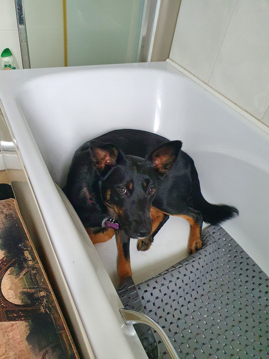 Emma Foley tweet media