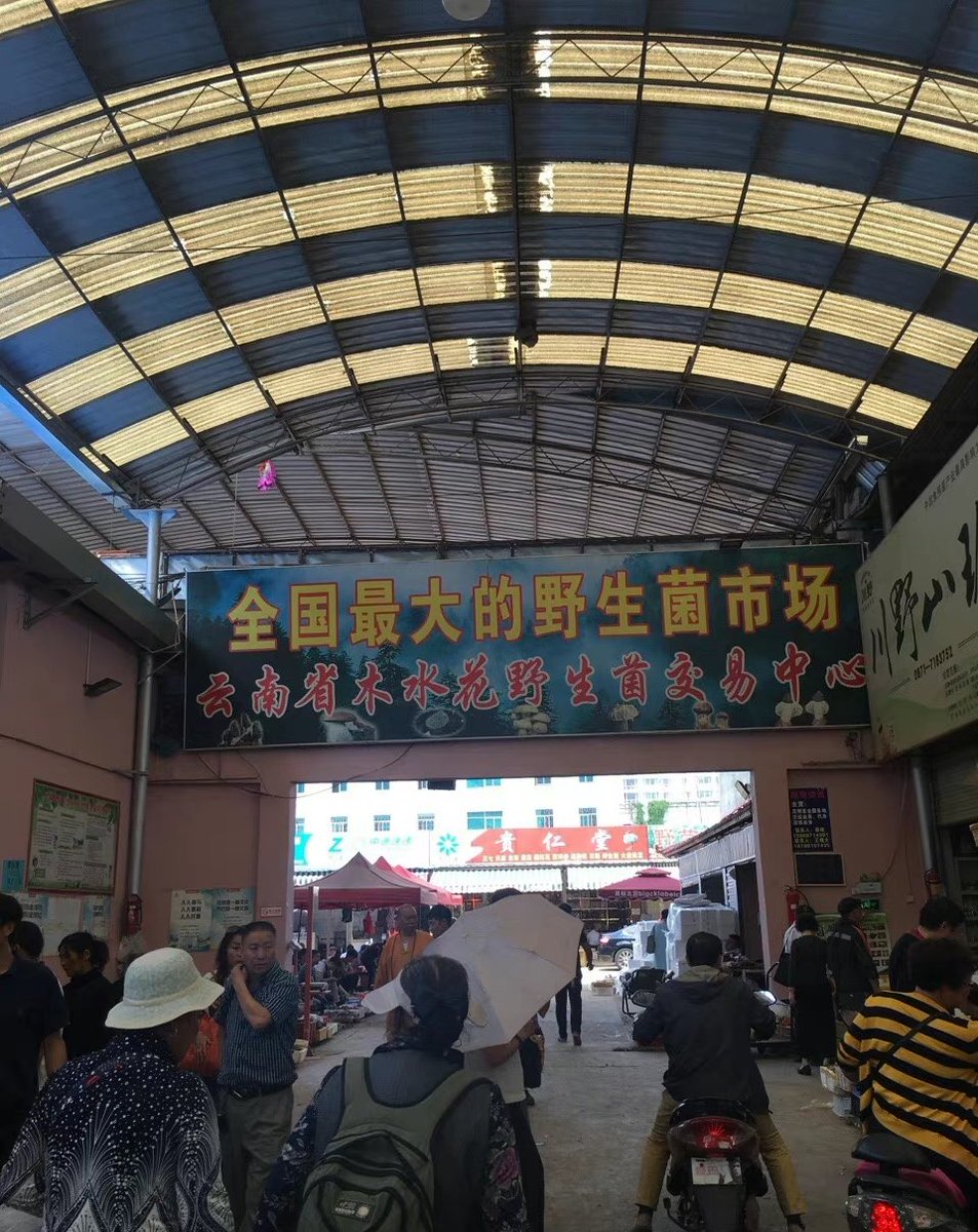 情人节来云南玩了，在车上有个游客问我跟妈妈的关系，我妈说，我们是夫妻，那个人说，看我们还挺有夫妻相，真的很会说话。
这句话我妈一直记在心里，开心了一整天。
可惜今天太累了，洗完澡她就睡着了，只能明天再日她了 https://t.co/2DVxj98E6d