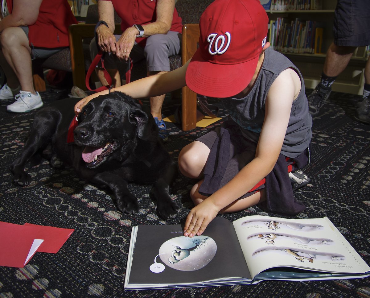 WashoeLibrary's tweet photo. #TBT to enjoying a good book with a friend during #Paws2Read at the #NorthValleysLibrary in 2018. The #Paws4LoveReno dogs are getting ready for their August library visits! All ages are welcome to visit with these friendly therapy dogs. Visit https://t.co/kZvb9qcdho to register. https://t.co/5TovCk2d5F