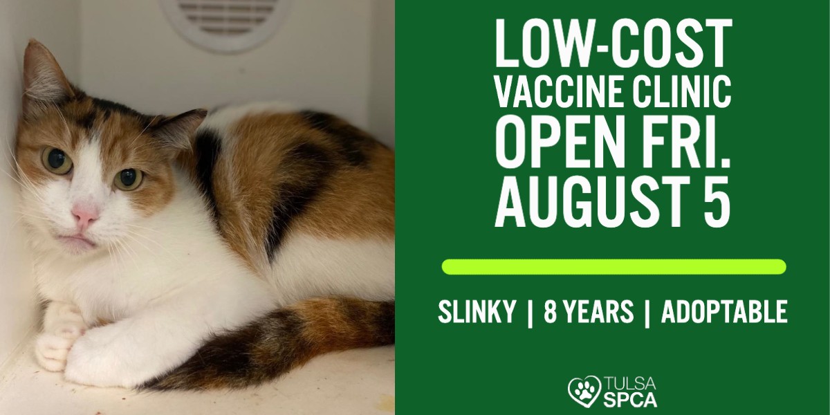 Tulsa_SPCA's tweet photo. The Tulsa SPCA Low-Cost Vaccination Clinic will be open tomorrow (8/5) from 9:30am-3:30pm (closed 12:30-1:30pm). First come, first served. Services and pricing can be found at https://t.co/8D6WSMaAqo. Hope to see you there! #tulsaspca #healthypets https://t.co/b19zTFGFAn