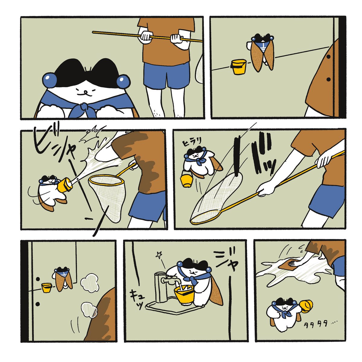 セミごっこ
#セミ 
#蝉 