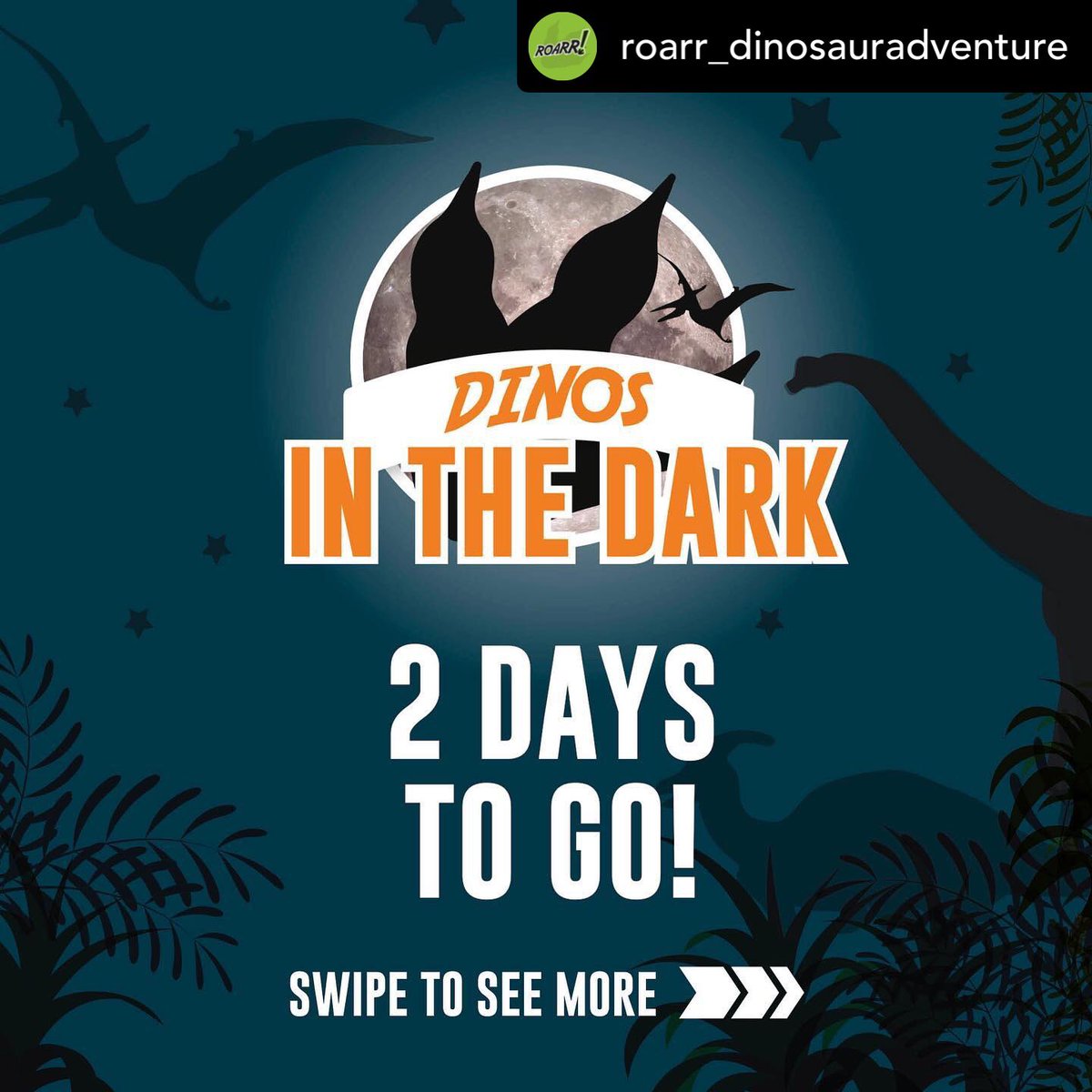 NorwichAS's tweet photo. Everyone here at @NorwichAS is super excited about this event at @roarr_dino! Seek us out amongst the dinos! 🦕 🦖 https://t.co/sK3EuTUNAQ