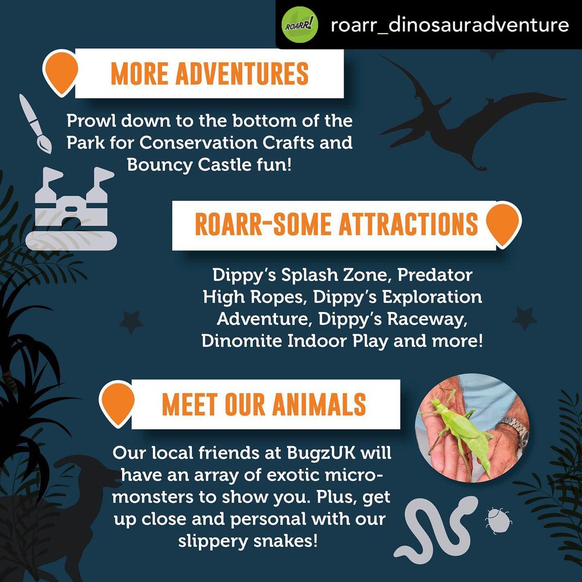 Everyone here at <a href="/NorwichAS/">NorwichAstroSociety</a> is super excited about this event at @roarr_dino! Seek us out amongst the dinos! 🦕 🦖