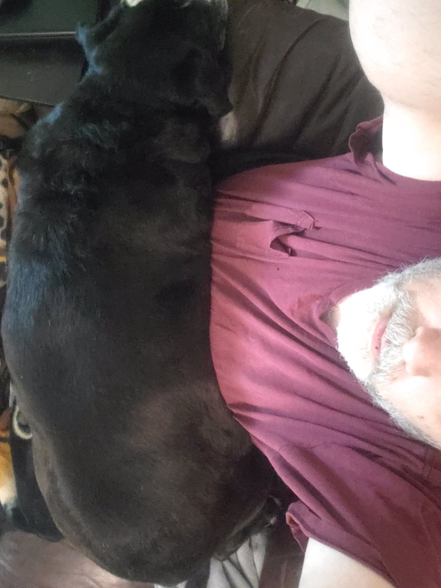 FifiFionaG's tweet photo. I sez "If ya can't take up whole lap, you can't be lap dog" https://t.co/xHqCHeoPuV