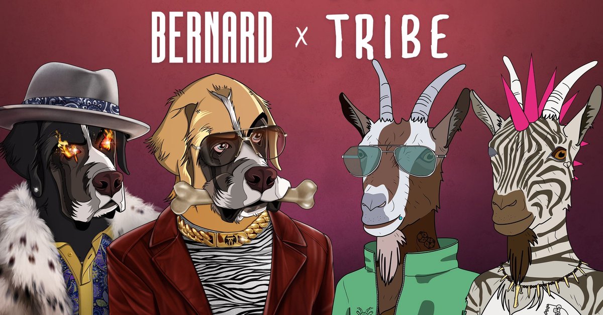 Bernard Boys tweet media