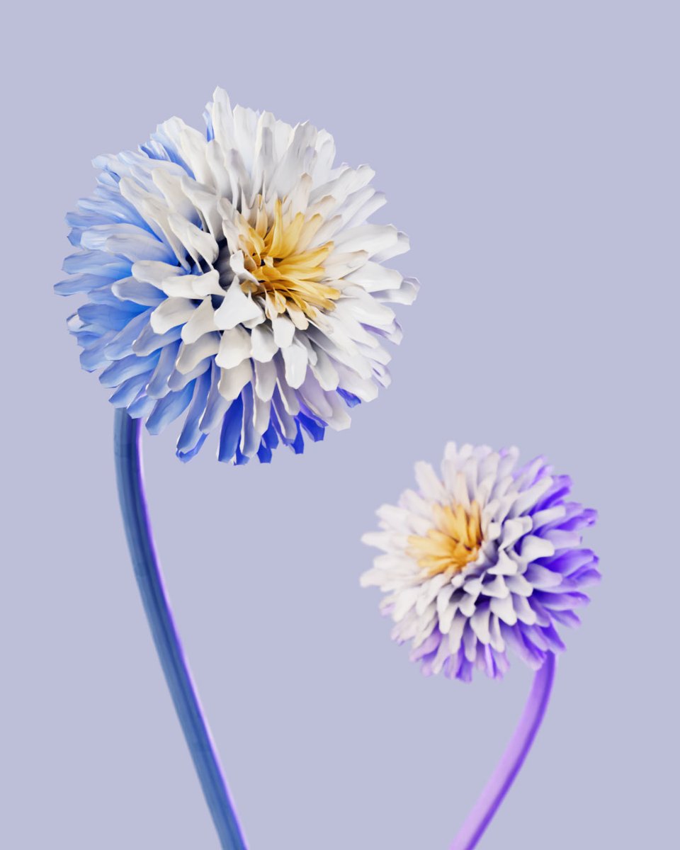 Aurelienthms tweet media