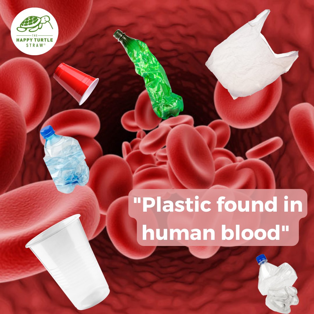 The Happy Turtle Straw tweet media