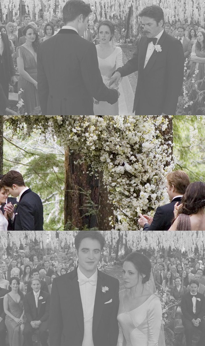 twilightreborn's tweet photo. open for a surprise https://t.co/wuL2YqU0QY