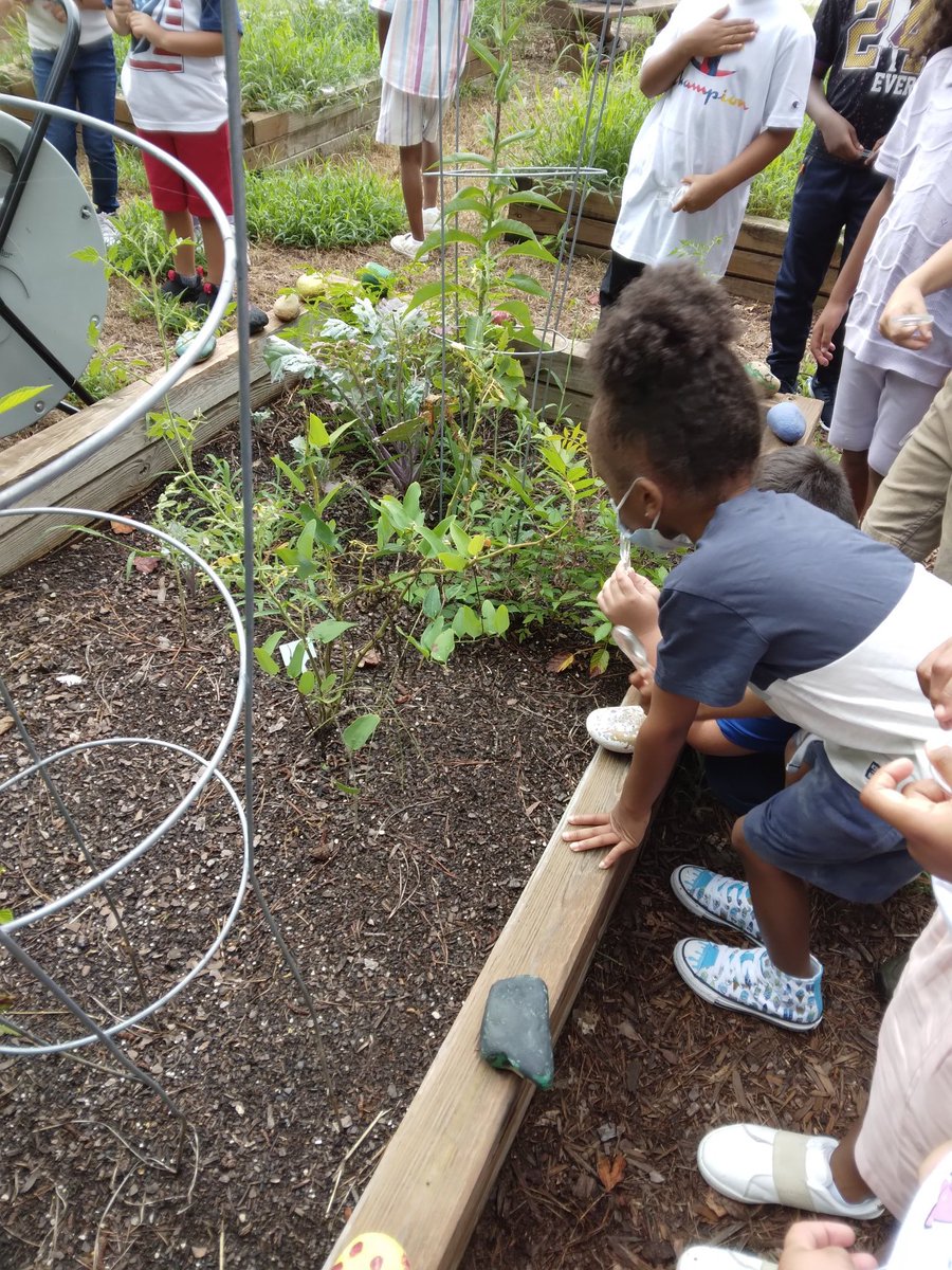 MsSappsClass's tweet photo. First grade exploring plants and animals in our outdoor learning spaces. @BaggettTitans https://t.co/JHBxZr9OYv