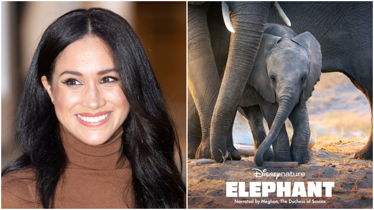 Happy Birthday, Meghan Markle
For Disney, she narrated the documentary Elephant. 