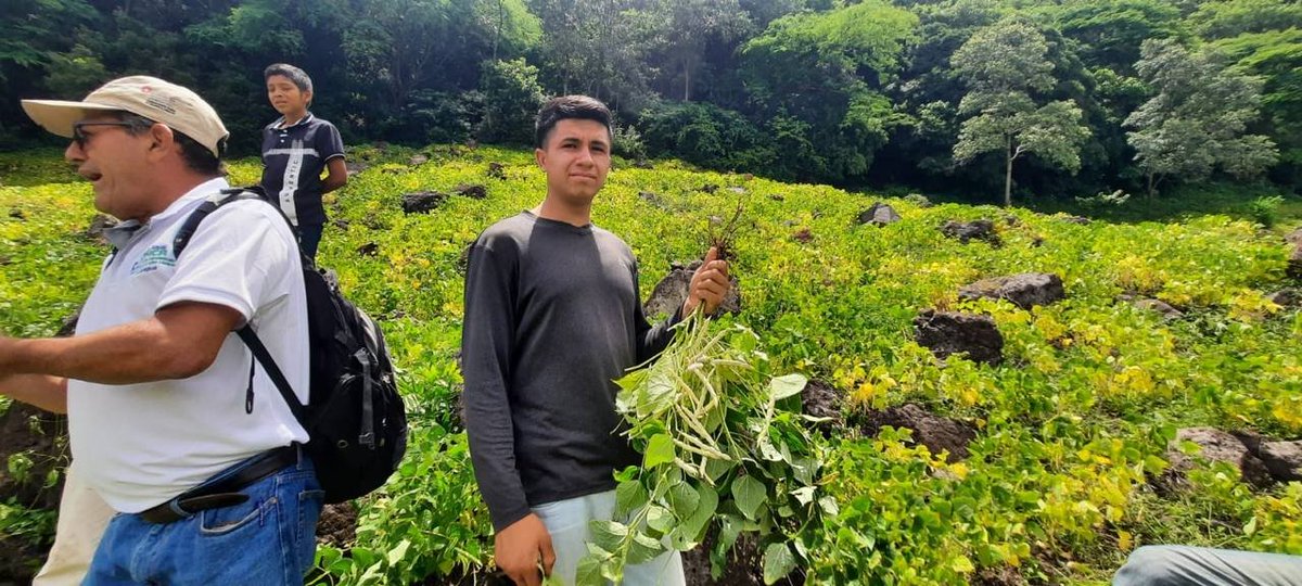 #Nicaragua | El INTA presentó a pequeños productores de San Isidro, Matagalpa, las nuevas variedades de Frijol INTA Bio Apante e INA Nutritivo y Rendidor