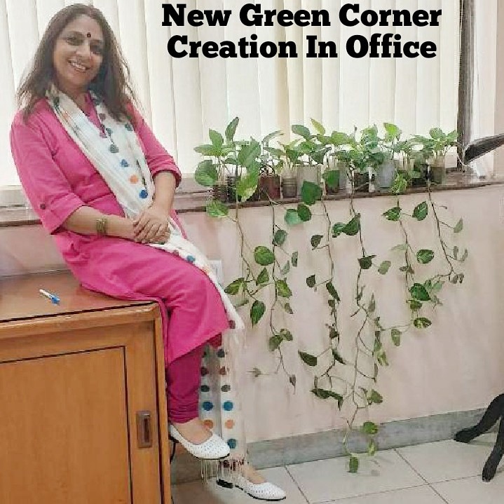 abhilashayen's tweet photo. ๐
New Green Corner Creation
๐
#gardening
#passion
#SuhasiniStoryTeller
#suhasiniabhilashayen
#KitabKavitaKofee
#AvighnTheatreGroup
#moneyplants
#hangingplants
#creapers
#greenery
#greencorner
#plantpots https://t.co/zShTyvxhNX