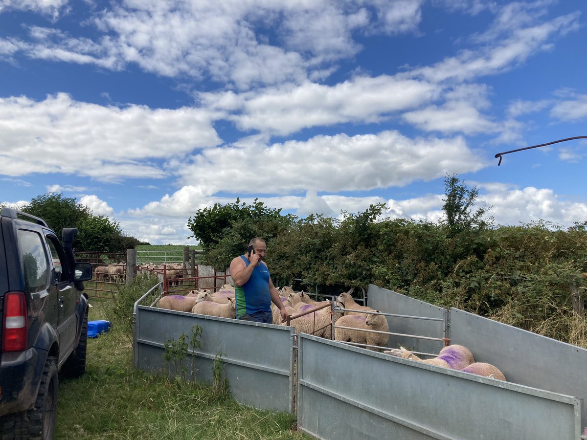 stellaowenphill's tweet photo. Biggest of the bunch having some TLC now to get them finished โฆ the rest on the parched field with the best view. #breconbeacons #farm24 #summer2022 #teamphillips https://t.co/jmGEWpSnqO
