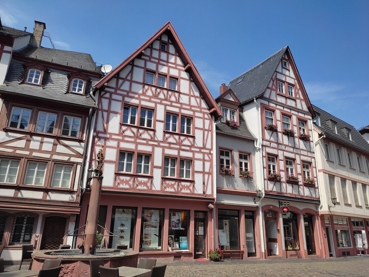 e_valls's tweet photo. #MethodsXVII is almost over, but we've had plenty of time to meet old friends, talk to new colleagues and broaden our knowledge. It's been a nice conference indeed! I hope to see you all again! #Mainz #Rhine https://t.co/RF2xIxxezj