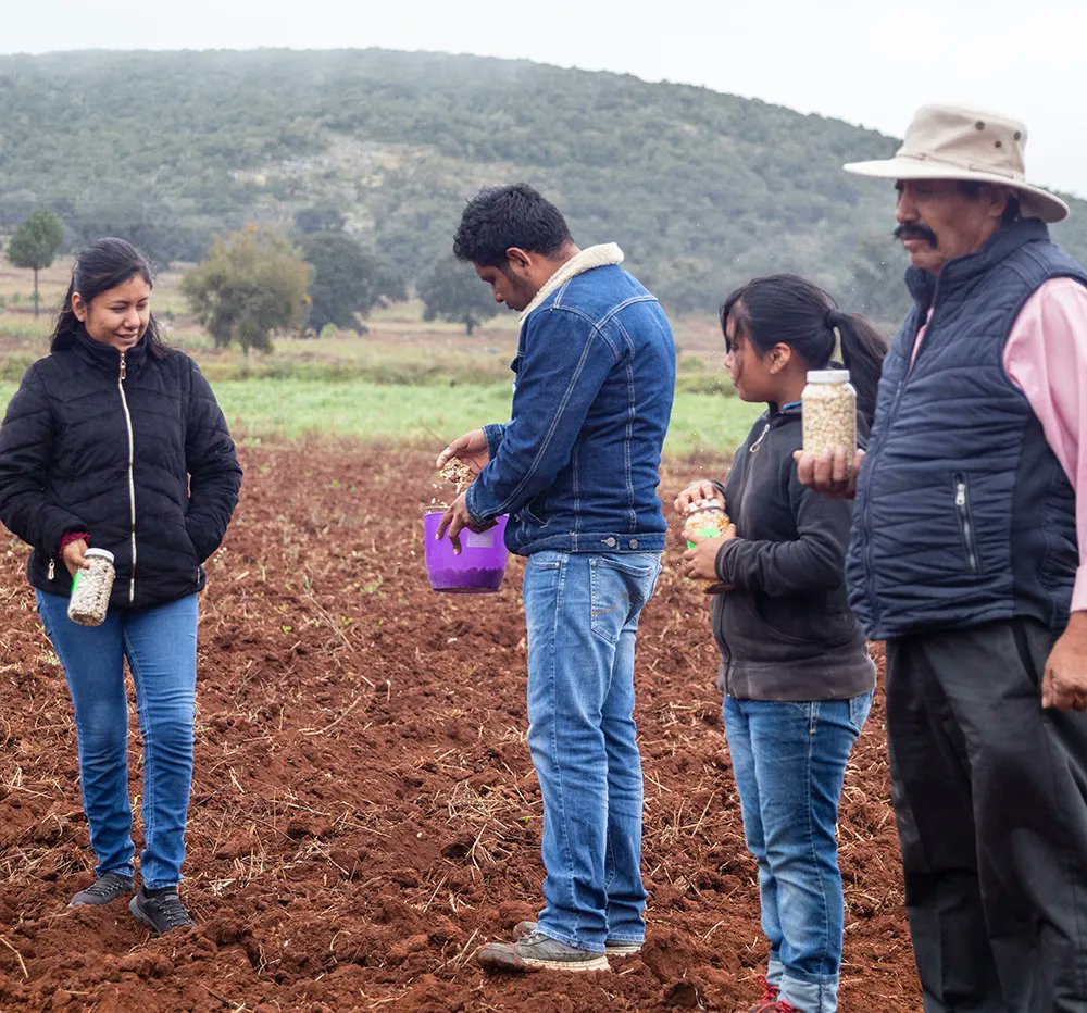 GroundswellInt's tweet photo. Scaling agroecological and local market alternatives are essential for nourishing people and reversing #climatechange! #agroecology https://t.co/0njKCgtqL4