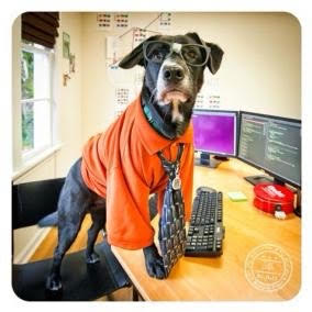 PetHub's tweet photo. Ullr wants to know why you didn't respond to his emails. He has some very good ideas on how to optimize your SEO. 

#WorkLikeADogDay #PetHubTag https://t.co/pzRFIhsdeO