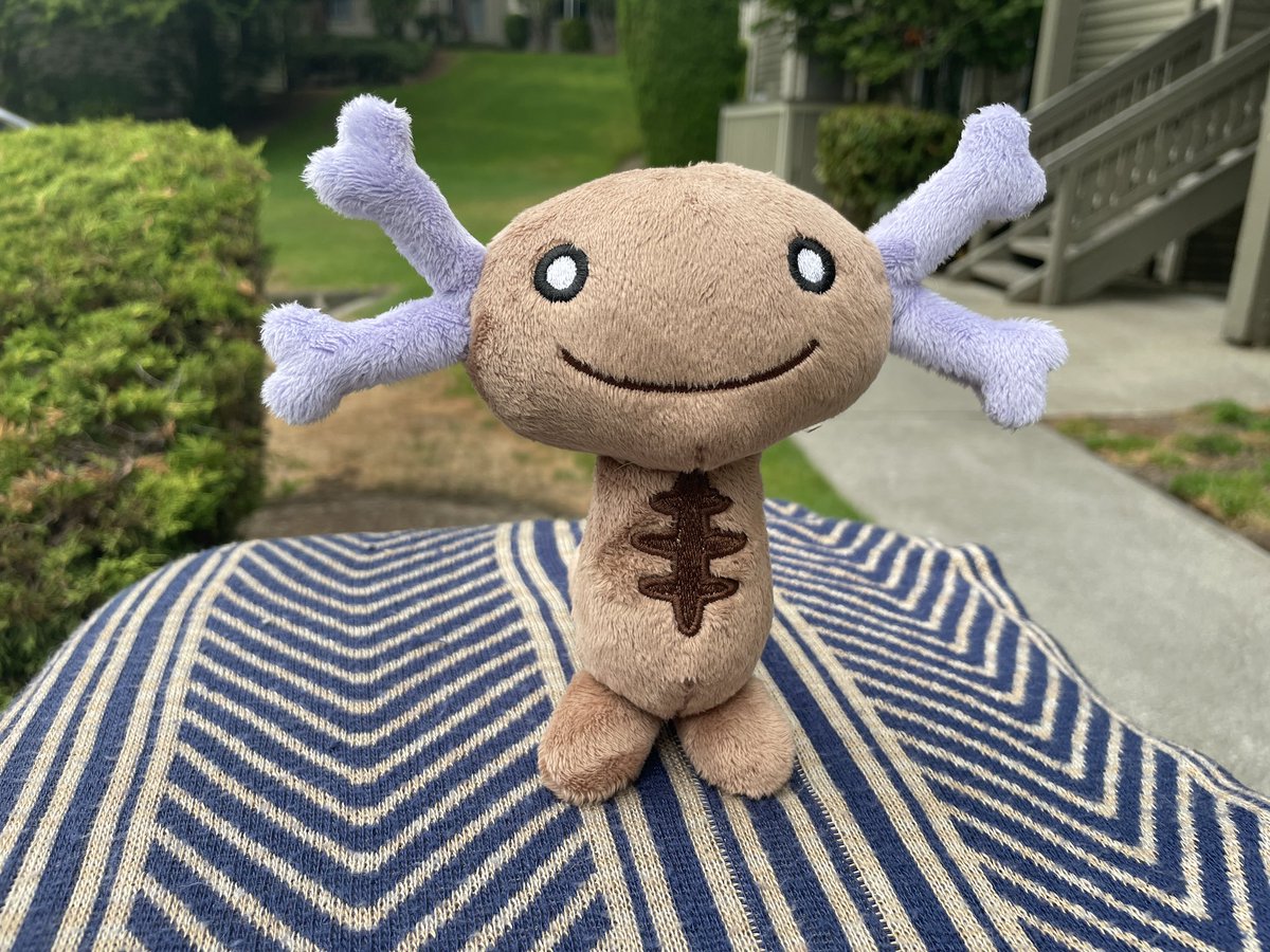 koricuddleplush's tweet photo. The boy is DONE! He’s about 8 inches tall, and perfect for sitting on my desk!

Do you guys think I should do Johto Wooper?

This little lad is looking for a home!

#PokemonScarletViolet #Wooper #PaldeanWooper #plush https://t.co/0Yw8KN1J2j