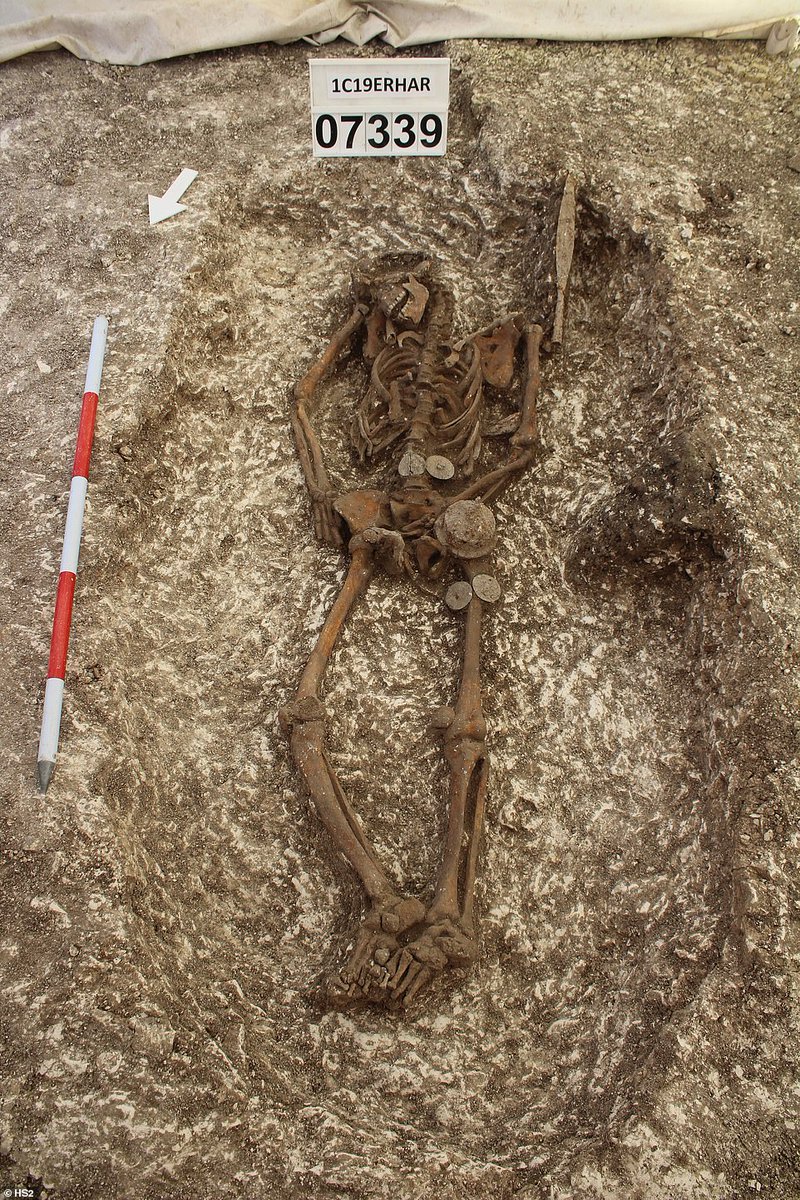 thetimeteam's tweet photo. 💀SPINE TINGLING NEWS💀
A skeleton with a spear embedded in its back is one of 141 human remains found at an Anglo-Saxon burial ground in Buckinghamshire by HS2 archaeologists.

Read full story below:
https://t.co/wMAjbfkKds

📷 Photos: HS2/Fusion JV

#archaeology #timeteam https://t.co/PYTOpiOHLl