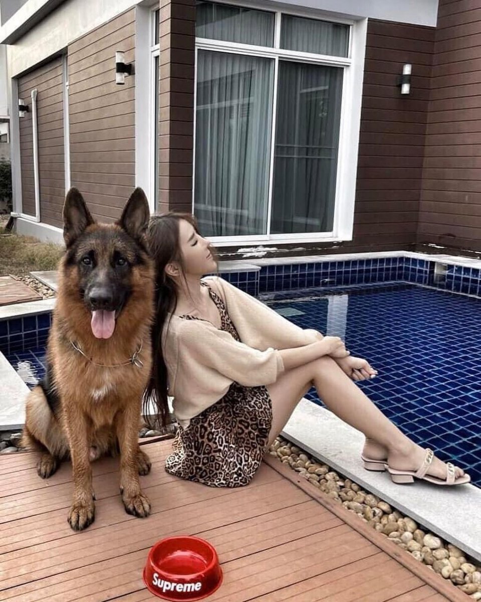 josy8090's tweet photo. The dog by your side is the only thing on earth that loves you more than its own life. https://t.co/kiKwrXSpkj