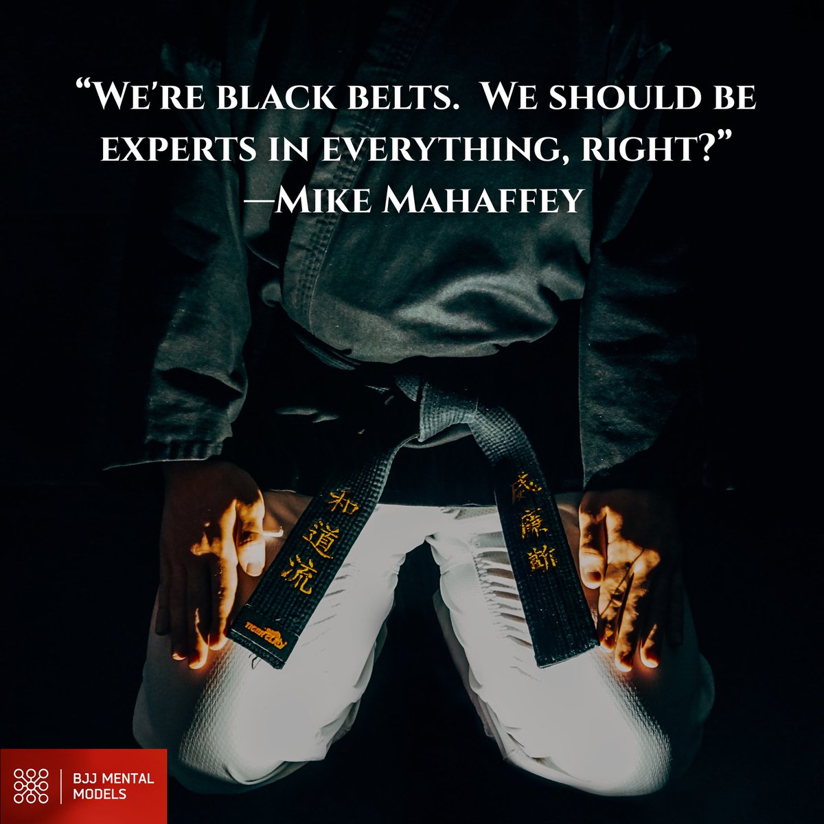 BJJ Mental Models tweet media