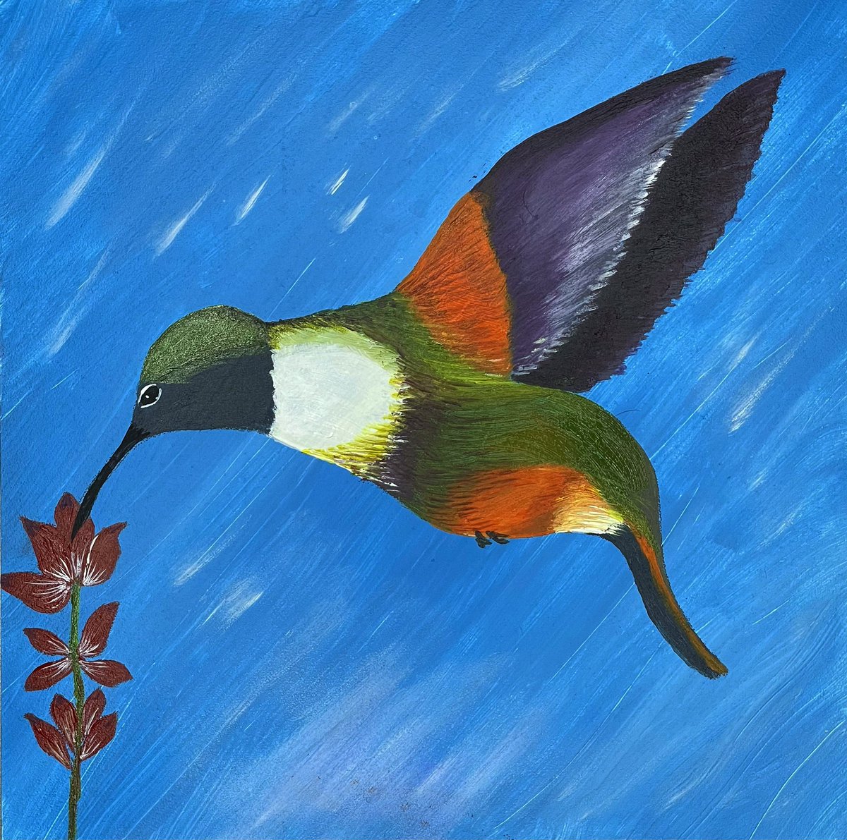 Jes_LynGo's tweet photo. The #colibri is a celebrated bird across many #taino groups. Check out my new painting on #hummingbird found in the Bahamas 🇧🇸 https://t.co/bN3RQc0LHF https://t.co/2lRKWV7Go9