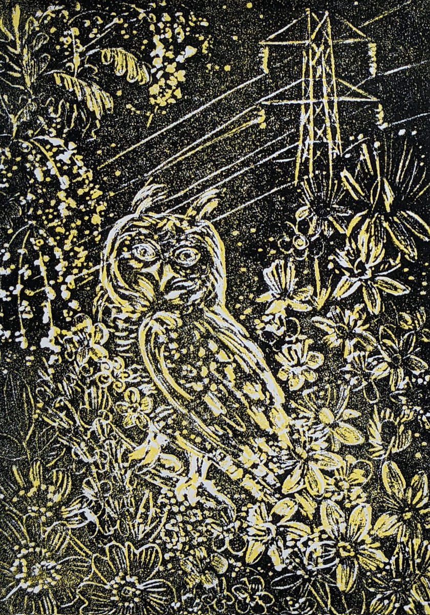 MariaStrutz's tweet photo. Hookland's Queen of Owls, following the Hum @HooklandGuide #InternationalOwlAwarenessDay https://t.co/ZwiBS5i60H