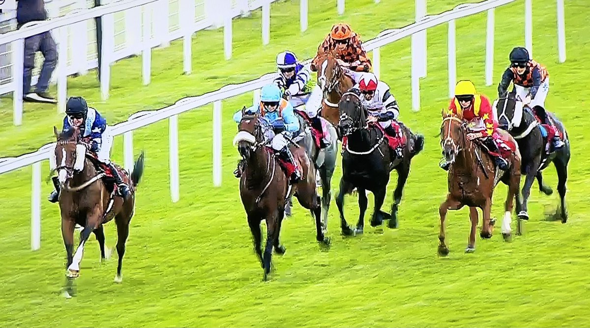 amajox's tweet photo. Congratulations #champ @amajox 🔥@patmillman WINS @Sandownpark #FastSteps @rodmillmanracin #7ran #heldup #flyingatthefinish #timedtoperfection #topride #topjock 🍑👌🌟👏👏👏 https://t.co/bp65jcz7BX