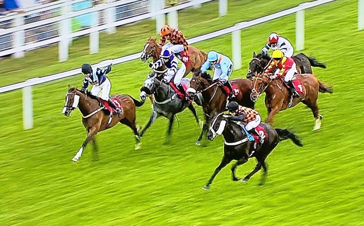 amajox's tweet photo. Congratulations #champ @amajox 🔥@patmillman WINS @Sandownpark #FastSteps @rodmillmanracin #7ran #heldup #flyingatthefinish #timedtoperfection #topride #topjock 🍑👌🌟👏👏👏 https://t.co/bp65jcz7BX